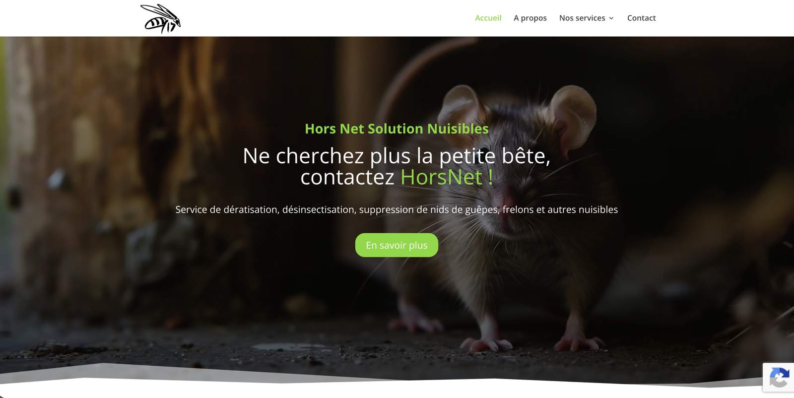 horsnet-projet
